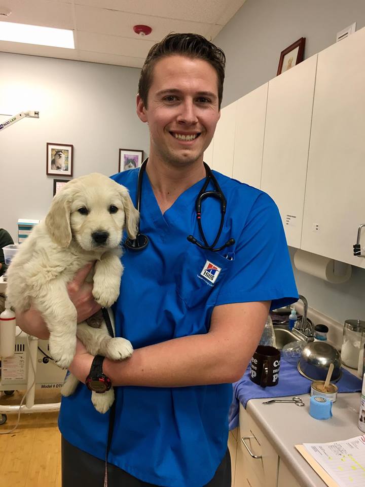 Fox Hollow Animal Hospital Lakewood, CO